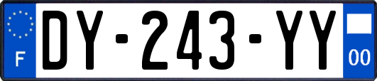 DY-243-YY
