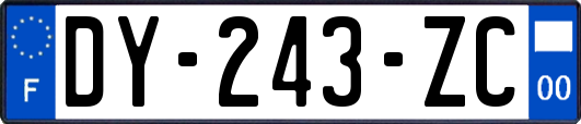 DY-243-ZC