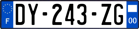 DY-243-ZG