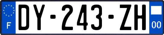 DY-243-ZH