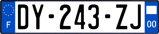 DY-243-ZJ