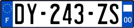 DY-243-ZS