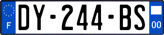 DY-244-BS