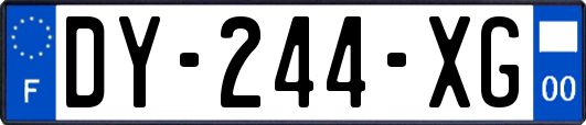 DY-244-XG