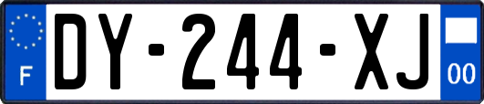 DY-244-XJ