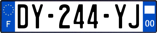 DY-244-YJ