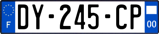 DY-245-CP