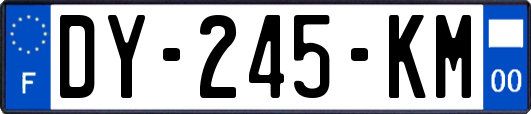 DY-245-KM