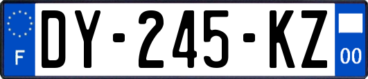 DY-245-KZ