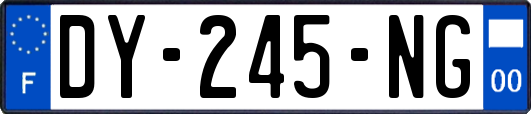 DY-245-NG