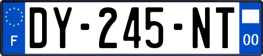 DY-245-NT