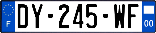 DY-245-WF