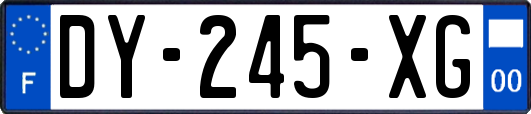 DY-245-XG