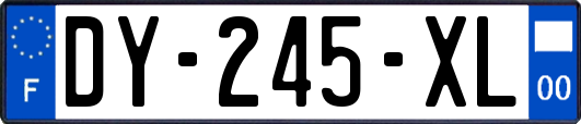 DY-245-XL