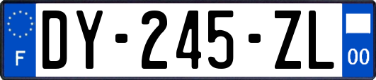 DY-245-ZL