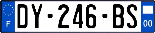 DY-246-BS