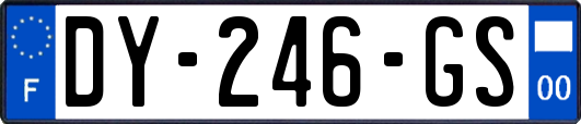 DY-246-GS