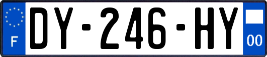 DY-246-HY