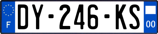 DY-246-KS