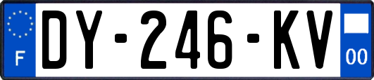 DY-246-KV