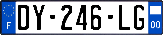 DY-246-LG