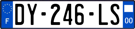 DY-246-LS