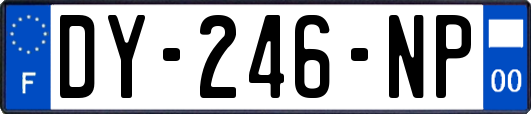 DY-246-NP