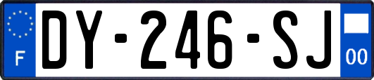 DY-246-SJ