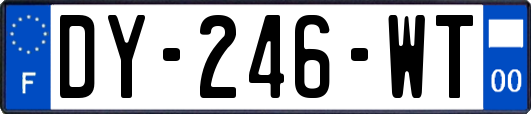 DY-246-WT