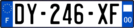 DY-246-XF