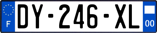 DY-246-XL