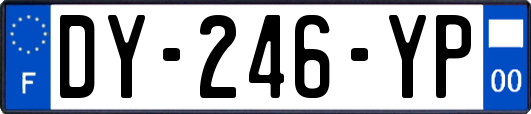 DY-246-YP