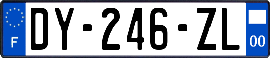 DY-246-ZL