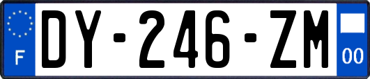 DY-246-ZM