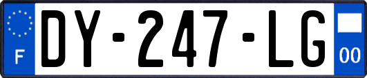 DY-247-LG