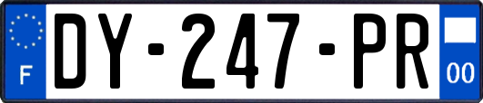 DY-247-PR