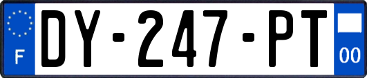 DY-247-PT