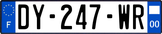 DY-247-WR