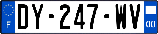 DY-247-WV