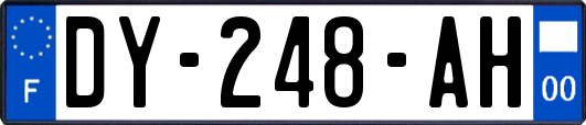 DY-248-AH