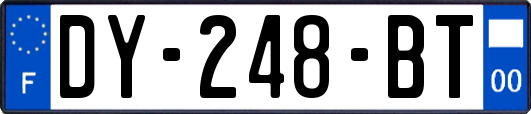 DY-248-BT