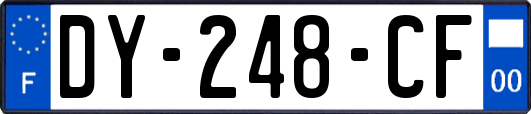 DY-248-CF