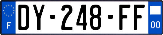 DY-248-FF