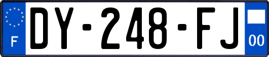 DY-248-FJ