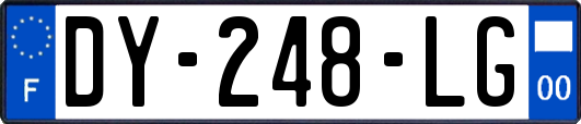 DY-248-LG