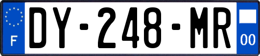 DY-248-MR