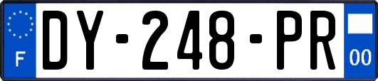 DY-248-PR