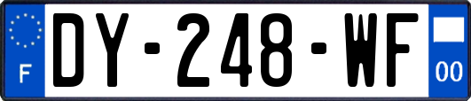 DY-248-WF