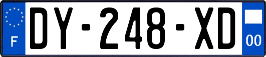 DY-248-XD