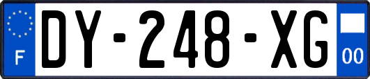 DY-248-XG